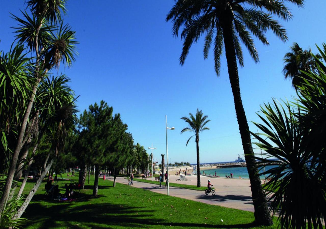 Canopee - Toulon Mourillon - 800M Des Plages Et Place De Parking Prive 外观 照片